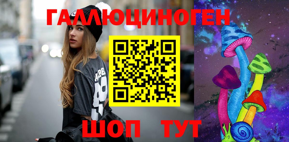 Псилоцибиновые грибы Psilocybe Сухой Лог