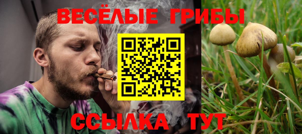купить наркоту  Псилоцибиновые грибы мухоморы  Вход с VPN  Галлюциногенные грибы ЛСД  Сухой Лог 